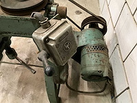 Wals - afbeelding 6 van  6