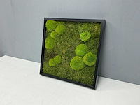 Wand decoratie 60x60 cm - afbeelding 1 van  9