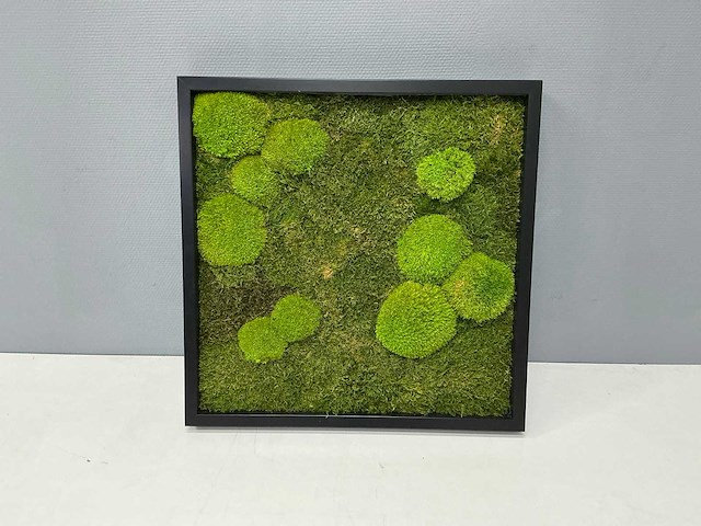 Wand decoratie 60x60 cm - afbeelding 2 van  9