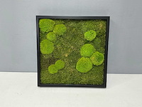 Wand decoratie 60x60 cm - afbeelding 2 van  9