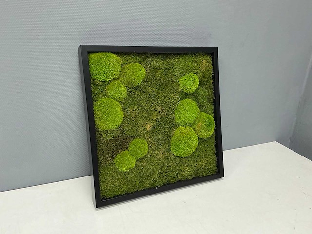 Wand decoratie 60x60 cm - afbeelding 3 van  9