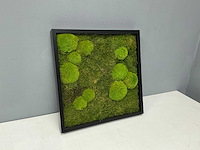 Wand decoratie 60x60 cm - afbeelding 3 van  9