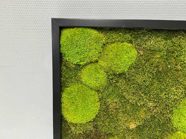 Wand decoratie 60x60 cm - afbeelding 4 van  9