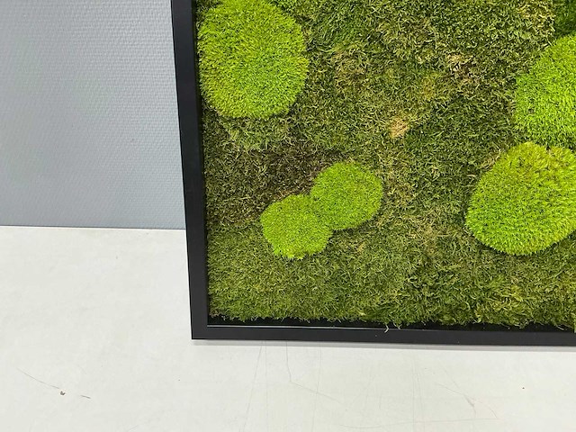 Wand decoratie 60x60 cm - afbeelding 5 van  9