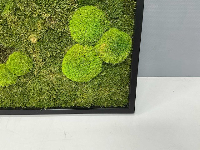 Wand decoratie 60x60 cm - afbeelding 6 van  9