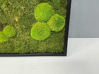 Wand decoratie 60x60 cm - afbeelding 6 van  9