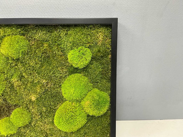 Wand decoratie 60x60 cm - afbeelding 7 van  9