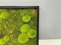 Wand decoratie 60x60 cm - afbeelding 7 van  9