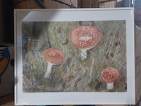 Wand decoratie paddenstoel 50x40cm aantal 1 stuks. - afbeelding 1 van  3