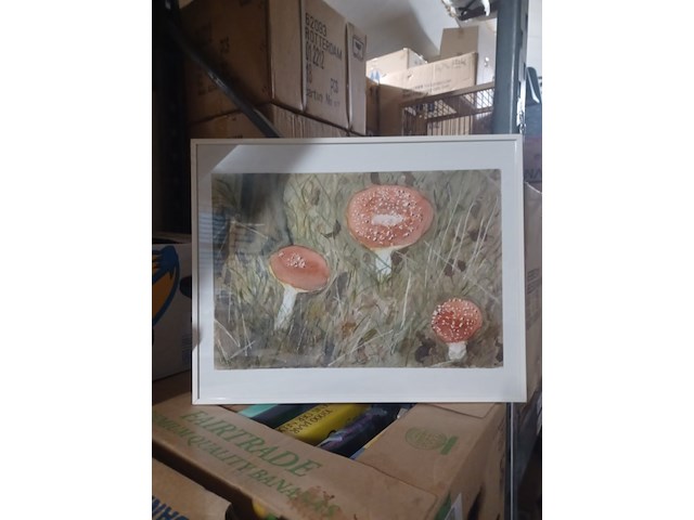 Wand decoratie paddenstoel 50x40cm aantal 1 stuks. - afbeelding 3 van  3