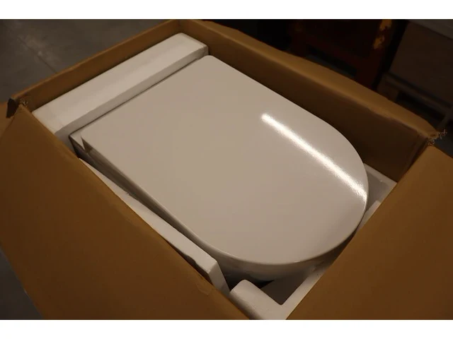 Wand douche-wc wiesbaden, vesta, wit - afbeelding 7 van  15