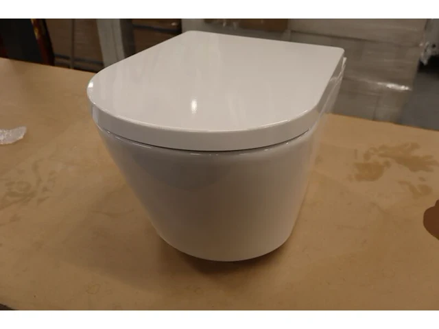 Wand douche-wc wiesbaden, vesta, wit - afbeelding 1 van  15