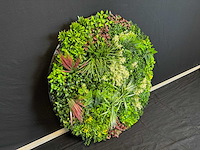 Wand paneel rond (2x) - afbeelding 11 van  13