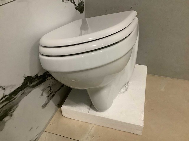Wandcloset rimless + toiletzitting - afbeelding 1 van  7