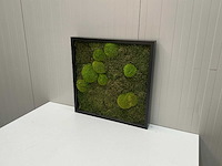 Wanddecoratie - 60x60 cm - afbeelding 1 van  8
