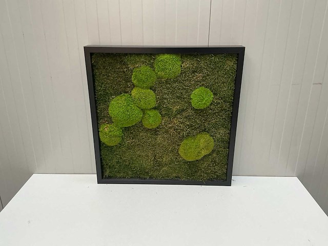 Wanddecoratie - 60x60 cm - afbeelding 2 van  8