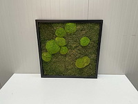 Wanddecoratie - 60x60 cm - afbeelding 2 van  8