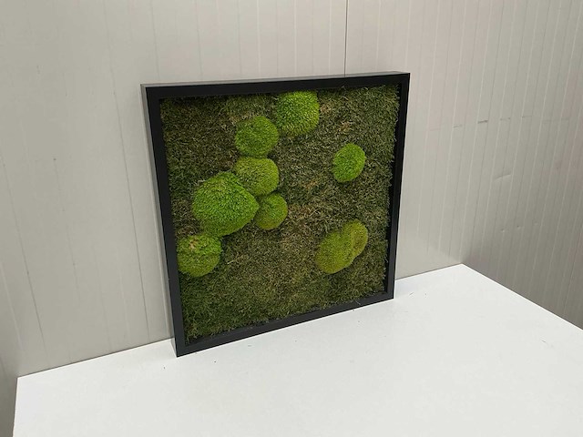 Wanddecoratie - 60x60 cm - afbeelding 3 van  8