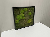 Wanddecoratie - 60x60 cm - afbeelding 3 van  8