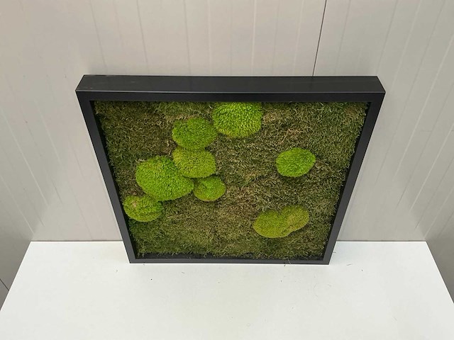 Wanddecoratie - 60x60 cm - afbeelding 4 van  8