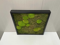 Wanddecoratie - 60x60 cm - afbeelding 4 van  8