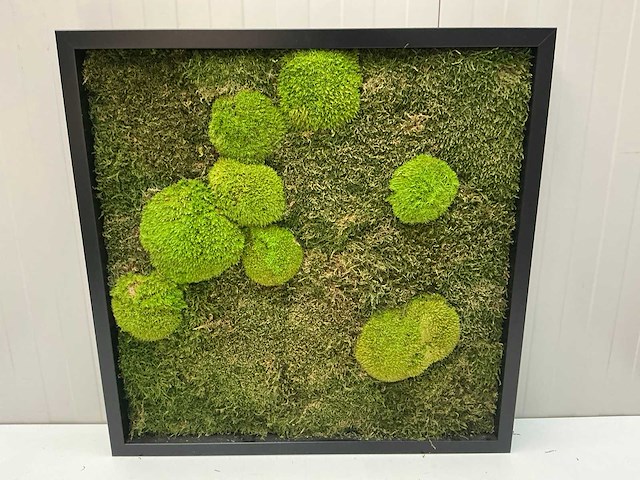 Wanddecoratie - 60x60 cm - afbeelding 5 van  8