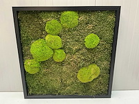 Wanddecoratie - 60x60 cm - afbeelding 5 van  8