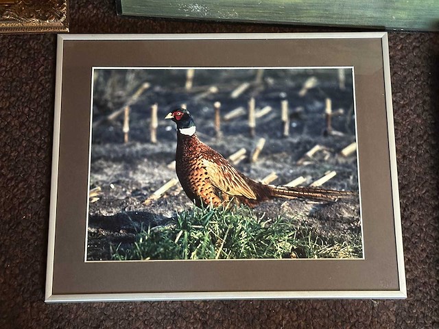 Wanddecoratie (10x) - afbeelding 10 van  10