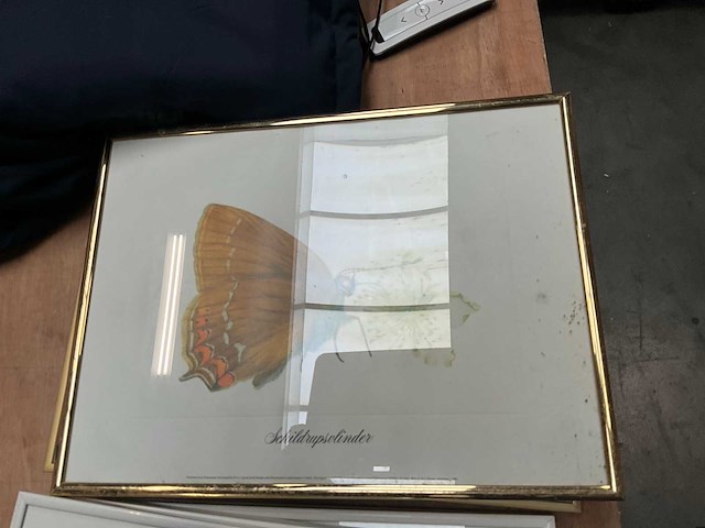 Wanddecoratie (19x) - afbeelding 4 van  5