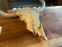 Wanddecoratie (2x) - afbeelding 3 van  5