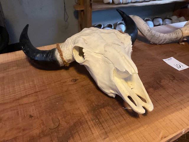 Wanddecoratie (2x) - afbeelding 5 van  5