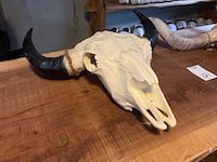 Wanddecoratie (2x) - afbeelding 5 van  5