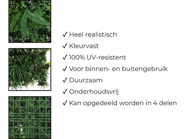 Wanddecoratie 500x200 ongebruikt - afbeelding 5 van  11