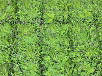 Wanddecoratie 500x200 ongebruikt - afbeelding 1 van  5