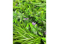 Wanddecoratie 500x200 ongebruikt - afbeelding 4 van  11