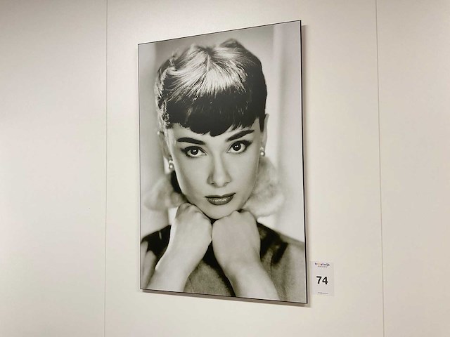 Wanddecoratie (5x) - afbeelding 1 van  5