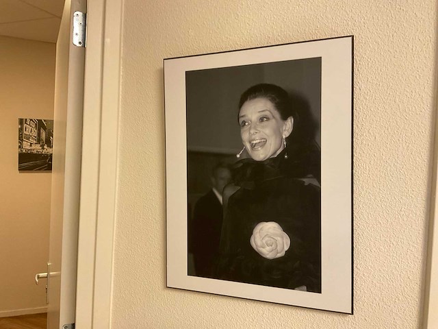 Wanddecoratie (5x) - afbeelding 4 van  5