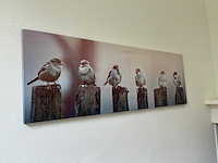 Wanddecoratie (5x) - afbeelding 4 van  5
