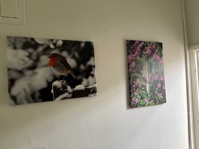 Wanddecoratie (5x) - afbeelding 5 van  5