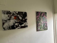 Wanddecoratie (5x) - afbeelding 5 van  5