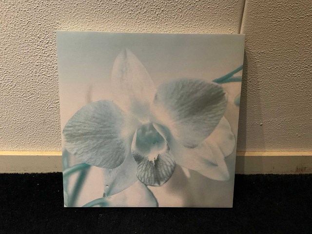 Wanddecoratie bloem (3x) - afbeelding 4 van  4