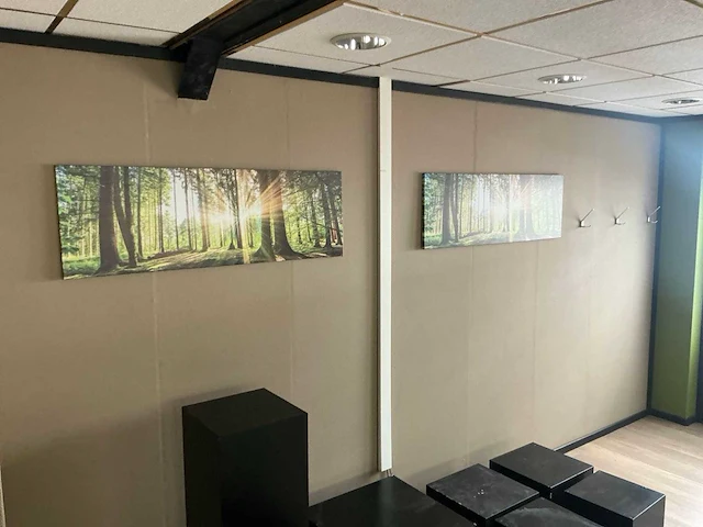 Wanddecoratie en planten in pot - afbeelding 3 van  7