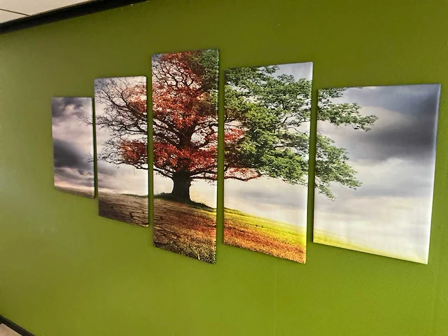 Wanddecoratie en planten in pot - afbeelding 5 van  7