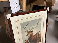 Wanddecoratie in schilderij - afbeelding 4 van  9