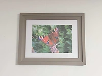 Wanddecoratie incl lijst - afbeelding 1 van  3