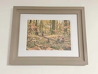 Wanddecoratie incl lijst