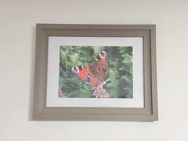 Wanddecoratie incl lijst - afbeelding 1 van  3