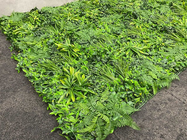 Wanddecoratie jungle 500x200 ongebruikt - afbeelding 19 van  21