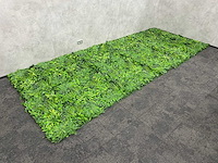 Wanddecoratie jungle 500x200 ongebruikt - afbeelding 9 van  21