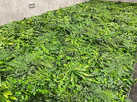 Wanddecoratie jungle 500x200 ongebruikt - afbeelding 18 van  21